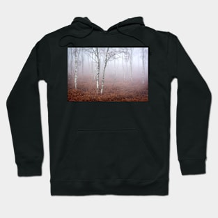 Birches and Bracken in the Mist Hoodie